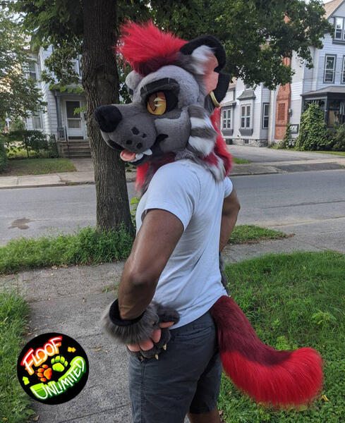 Hyena 1 Tail