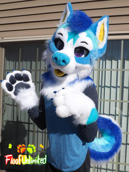 Husky 1 Mini Partial