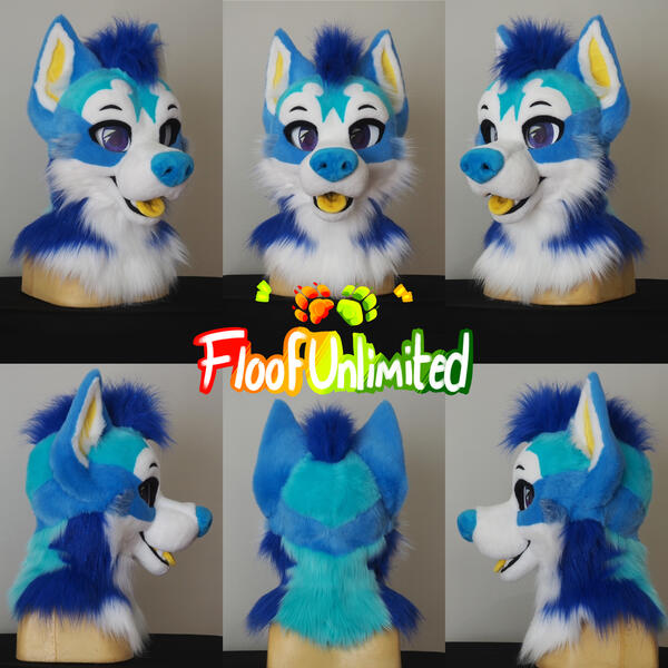 Husky 1 Head Turnaround