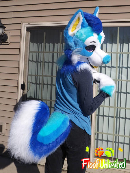 Husky 1 Mini Partial Tail View