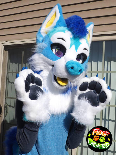 Husky 1 Mini Partial Paws Up