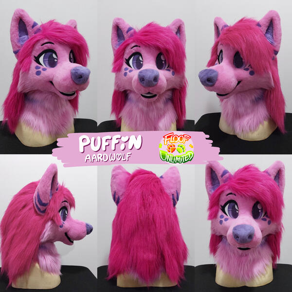 Puffin Head Turnaround