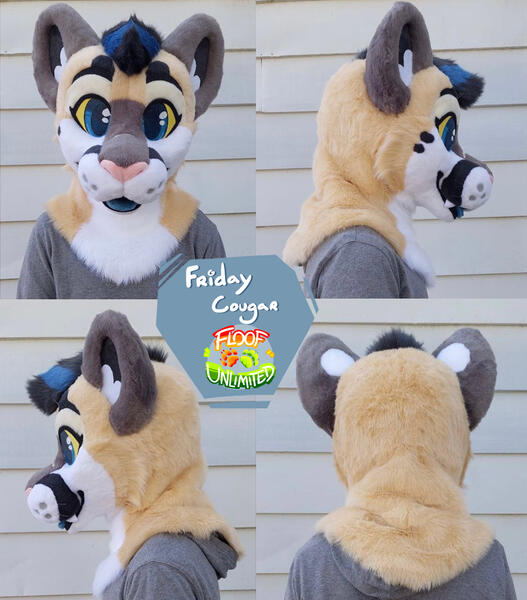 Friday Head Turnaround