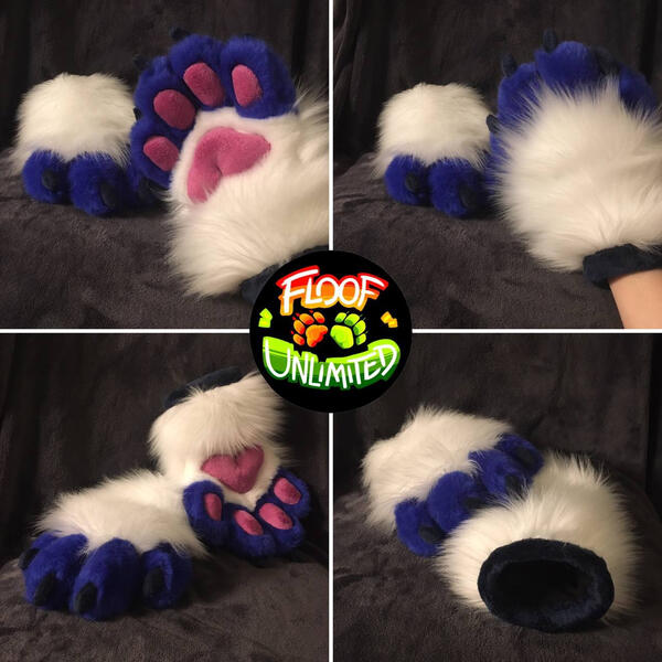 Hurricane Paws