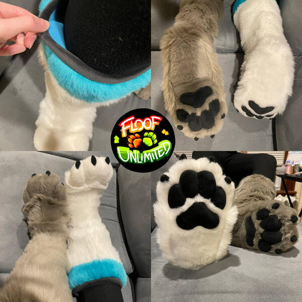 Azurel Sockpaws Turnaround