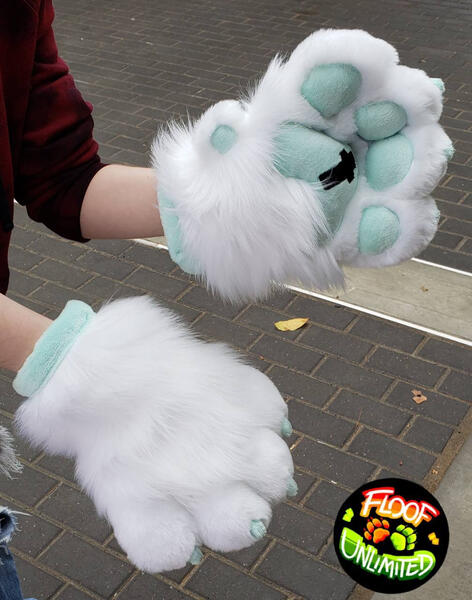 Harlow Paws