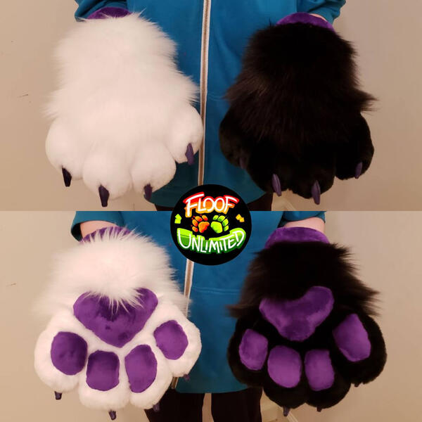 Black and White Paws