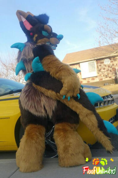 Jazzy Tail