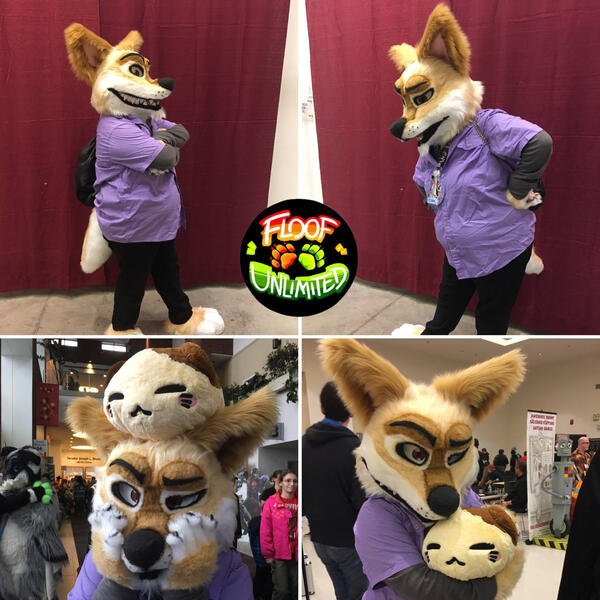 Flynn Turnaround