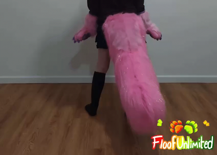 Puffin Tail Swish