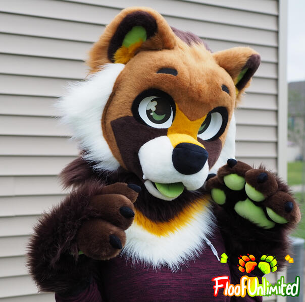 Tanuki 1 Mini Partial Paws Up