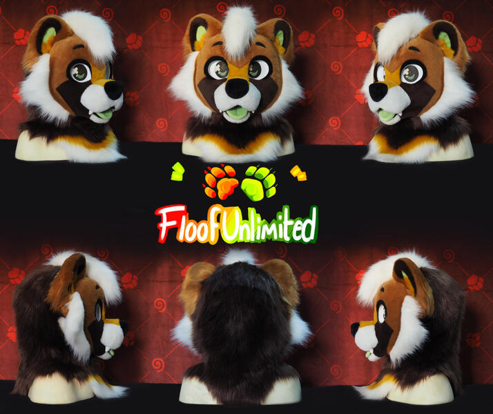 Tanuki 1 Head Turnaround