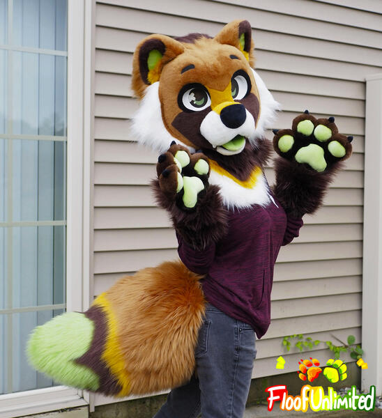 Tanuki 1 Mini Partial Tail View