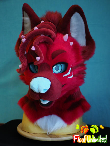 Teo Closeup