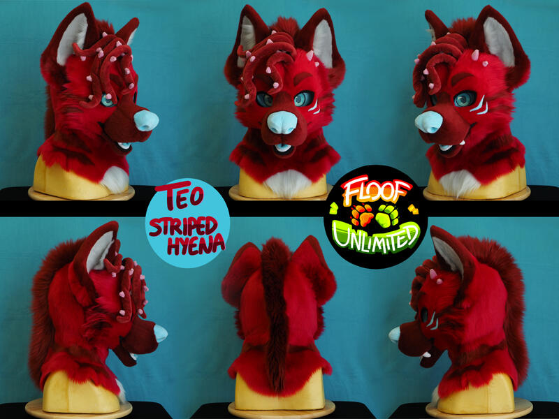 Teo Head Turnaround
