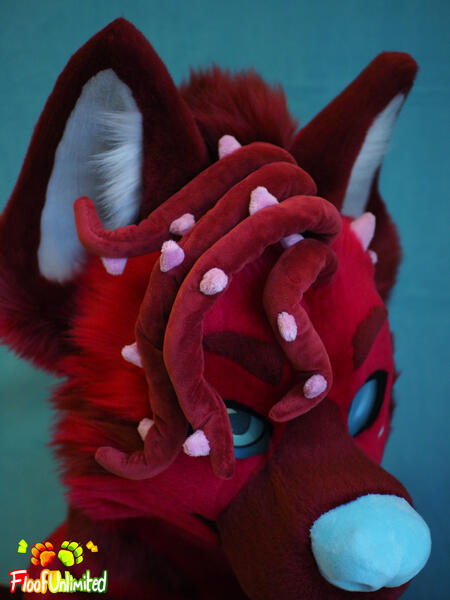 Teo Closeup Hair