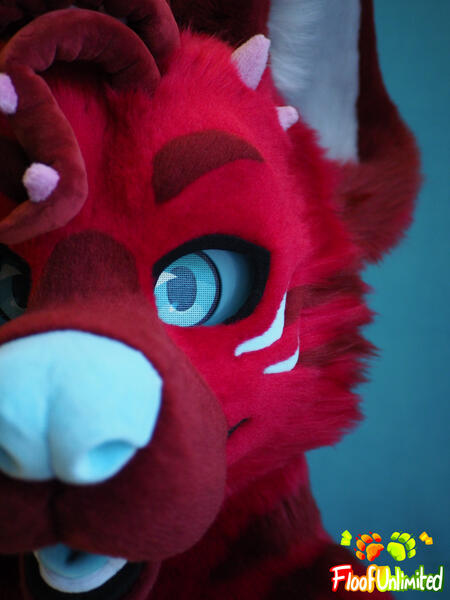 Teo Closeup Eye