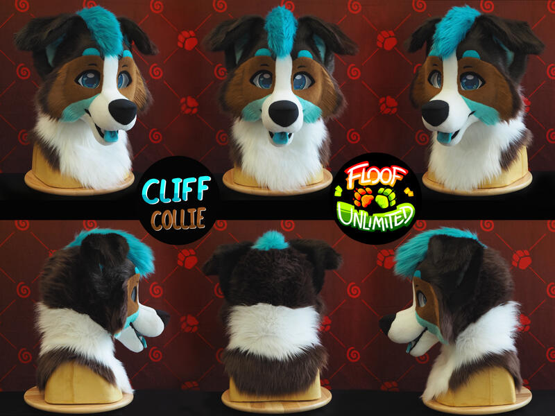 Cliff Head Turnaround